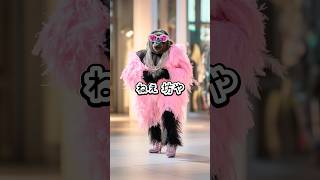 ねぇ 坊や【ウッホウッホなゴリラからの、どう？あたし綺麗でしょ】 #ゴリラ #ゴリラは可愛いって伝えなきゃ #ウッホウッホ