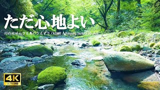 ただ心地よい水の音 新緑の森に響く鳥のさえずり:自律神経を整える、リラクゼーションにご活用ください【自然音,ASMR,4K,relaxing nature sounds】