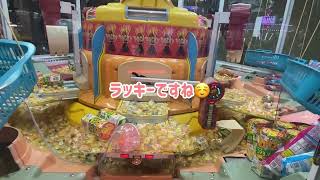 【絶滅危惧種】のビッグスイートランドを発見！ジャックポットまでプレイ！【クレーンゲーム】