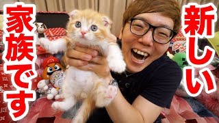 【ご報告】家族が増えました！猫飼います！【ヒカキンTV】【ねこ  cat】