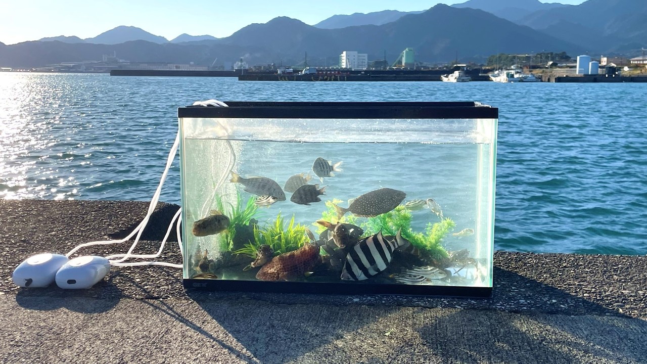 サムネ