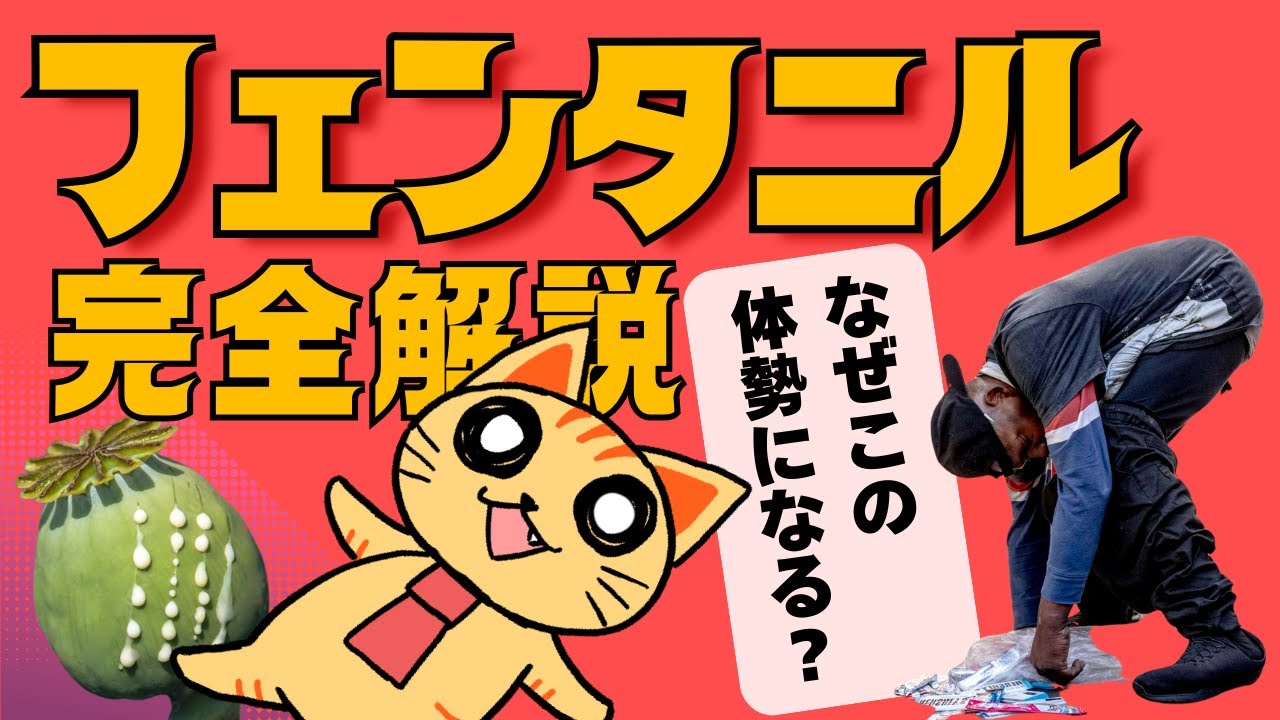 サムネ