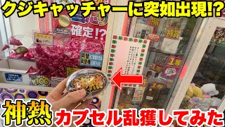 I was curious about the contents of the "God Heat Capsule" in the lottery catcher, so I tried cat...