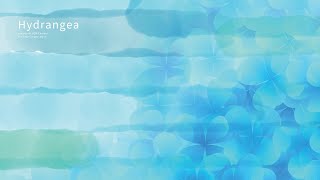 Copyright-free BGM "Hydrangea" [Chill / Relaxing Time / Cozy / Cafe Music / Lo-fi] Vlog Music