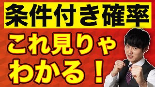 条件付き確率が不安なら一旦これ見てくれ