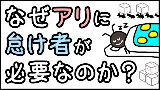 【あえて怠け者を許す】小学生でもわかる・アリの社会にサボリ魔が必要な理由【科学・ざっくり解説】