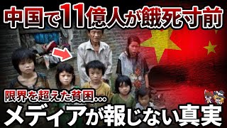 【特大総集編】もはや天災？中国国内の政策失敗 特大特集【ゆっくり解説】