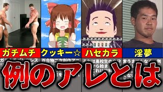 ネットのアングラコンテンツ、例のアレとは...？？【ゆっくり解説】