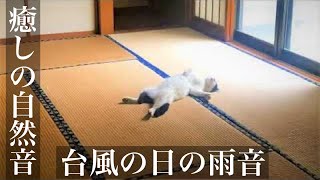 台風の日の雨音　睡眠用・勉強用・作業用BGM