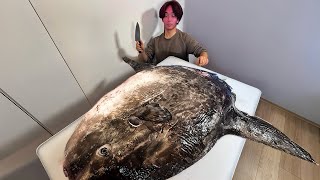 マンボウをさばいてみた結果がヤバイ…