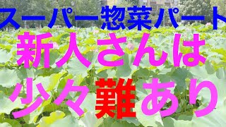 スーパー【惣菜パート】仕事を適当に終わらせる、質問しない、覚えない…
