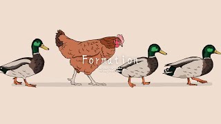 No Copyright Music『Formation』[Friends / Adventure / Cute / Relaxing / Comfortable / vlog music]