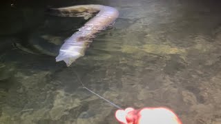 うをぉぉおーー！！！！