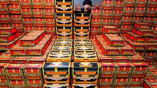 突然閉店するアピタに怪しい謎の箱が売られていたので全部買い占めました。