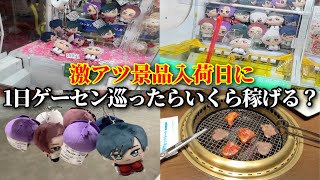 【検証】1個6000円のぬいぐるみを1日かけて乱獲したらいくら稼げる？【クレーンゲーム】