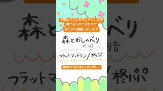 今日もパパから演奏が届きました！#柊羽音を演奏してみた　#shorts #freebgm
