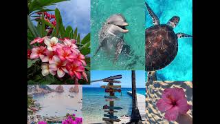 Save this playlist for summer 🐬🪸🌸🐚