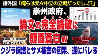 日本のIWC脱退から6年、クジラ保護とサメ被害の因果関係が遂に明らかに！？オーストラリア狼狽必至の論文の主張とは #海外の反応 #ゆっくり解説
