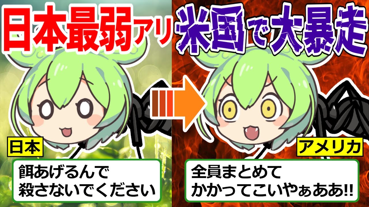 サムネ