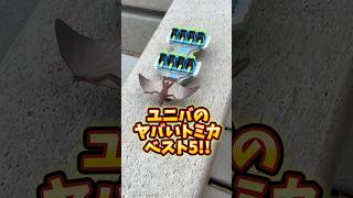【USJ】みんなはどんなトミカが出てほしい？　#USJ #ユニバ  #shorts