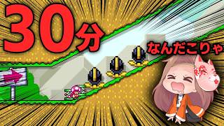 30分かけてあみ出した新技でブラック３匹の坂をなんなく突破してしまうキノピコさん