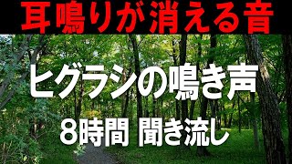 【耳鳴り治療音】耳鳴りに効果大 ヒグラシの鳴き声８時間聞き流し