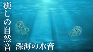 眠りを誘う深海の水音　イヤホン推奨　睡眠・勉強用BGM