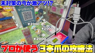 全国で流行中の3本爪攻略法が激アツすぎるので対策される前に狩りまくる！【クレーンゲーム】