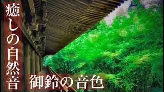 脳疲労回復　眠りを誘う美しいの鐘の音色とヒグラシの声