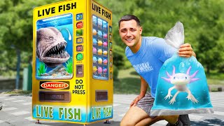 I Found a LIVE Fish Vending Machine...