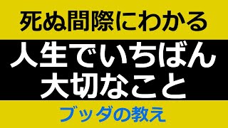 死ぬ間際にわかる『人生における最大の問題』【ブッダの教え】