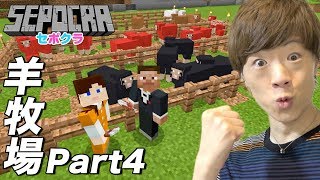 【セポクラ】Part4 - カラフルな羊の毛が必要なので羊牧場を作ります【セイキンゲームズ / マインクラフト】