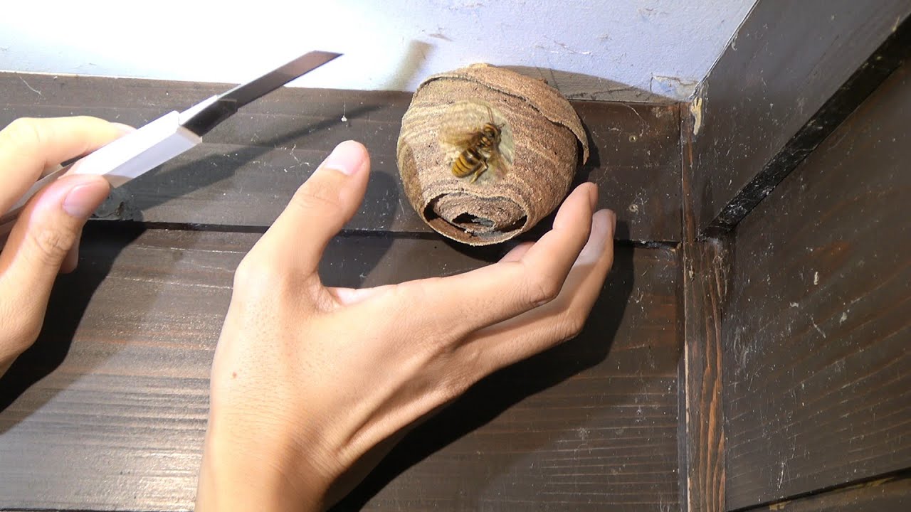 サムネ