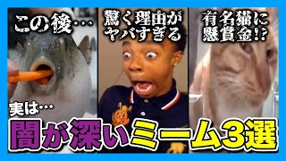 流行の裏に潜む闇…人気ミームのヤバすぎる真実に迫る。【海外ミーム解説】