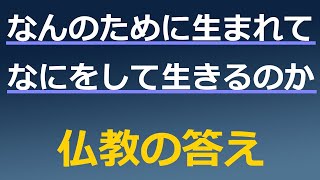 なんのために生まれて、なにをして生きるのか【仏教の答え】