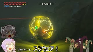 ゼルダの伝説　ブレス オブ ザ ワイルド_かけっこ_TA_0分39秒66