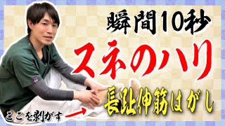 【すねが張る・痛い】毎日10秒の深層筋マッサージで足首が柔らかくなる！秘伝の長趾伸筋はがし