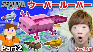 【セポクラ2】Part2 - ウーパールーパー探し【マインクラフト / マイクラ】【セイキンゲームズ】