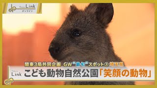 [The hottest Golden Week outing spot] The "smiling animal" quokka at Saitama Children's Zoo and N...
