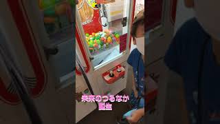未来のつるなか候補 #shorts #つるなか