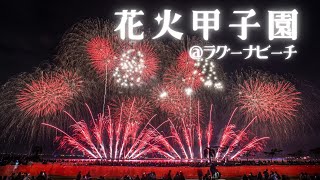 【4K】全国の花火師が競う「花火甲子園」　蒲郡の夜空と海を彩る