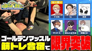 ガチ筋トレ合宿！ゴールデンマッスルが限界突破【高田村大運動会】
