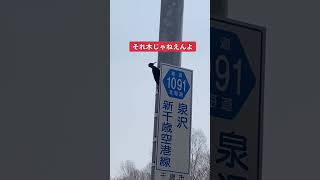 電柱をつつくキツツキの音がすげえｗｗｗｗ