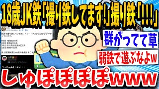 【2ch面白いスレ】【悲報】撮り鉄さん、18歳JKの撮り鉄女子に群がってしまうｗｗｗ【ゆっくり解説】