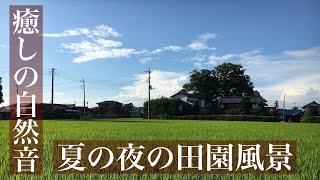 田舎の田園風景とセミの声、踏切音 【作業用BGM】