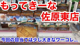 【クレーンゲーム】今回の目当ては少し大きなワーコレ...