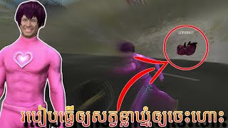 របៀបធ្វើអោយសត្វចិញ្ចឹមចេះហោះ