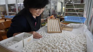 Process of making Go stones: Premium Japanese stones hand-carved from shell and stone.