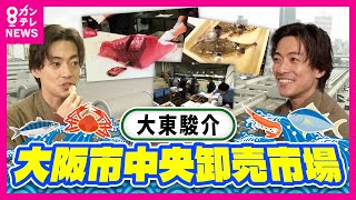 【大東駿介】“10万匹のフグ”を1カ月で出荷する「大阪市中央卸売市場」 削りたて「マグロ節」にダシ文化の奥深さ知る【大東駿介の発見!てくてく学】〈カンテレNEWS〉