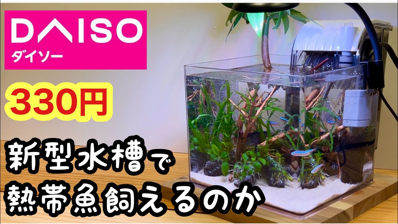 サムネ